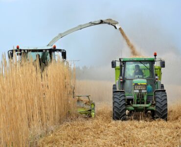miscanthus miscos d.o.o. biofuel sustainable green energy