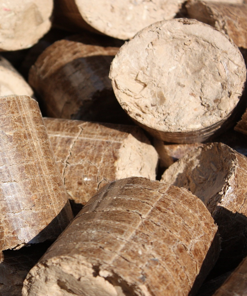 miscanthus miscos d.o.o. biofuel sustainable green energy