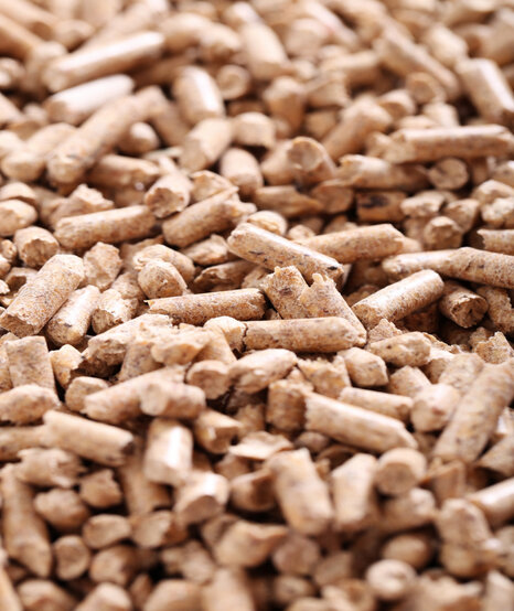 miscanthus miscos d.o.o. biofuel sustainable green energy